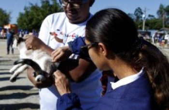 Campanha de vacinação antirrábica