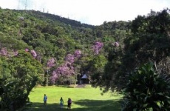 Corredor entre Serras do Mar e Itapeti favorece a diversidade
