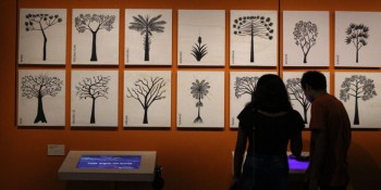 Em São Paulo, exposição sobre línguas indígenas ganha versão virtual