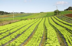 Diretoria promove palestra sobre cuidados com o solo
