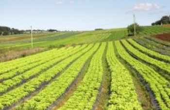 Diretoria promove palestra sobre cuidados com o solo