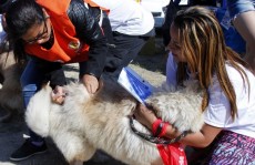 Campanha da vacina começa hoje em Itaquá