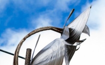 Rodrigo Bittencourt presenteia a cidade com orquídea de 9 metros