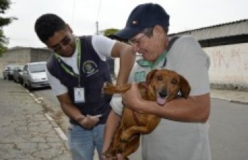 Campanha vai vacinar 160 mil animais