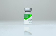 Campanha contra gripe está aberta a professores e idosos