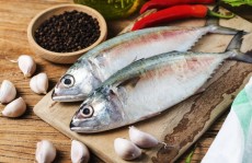 Peixe traz vários benefícios à saúde