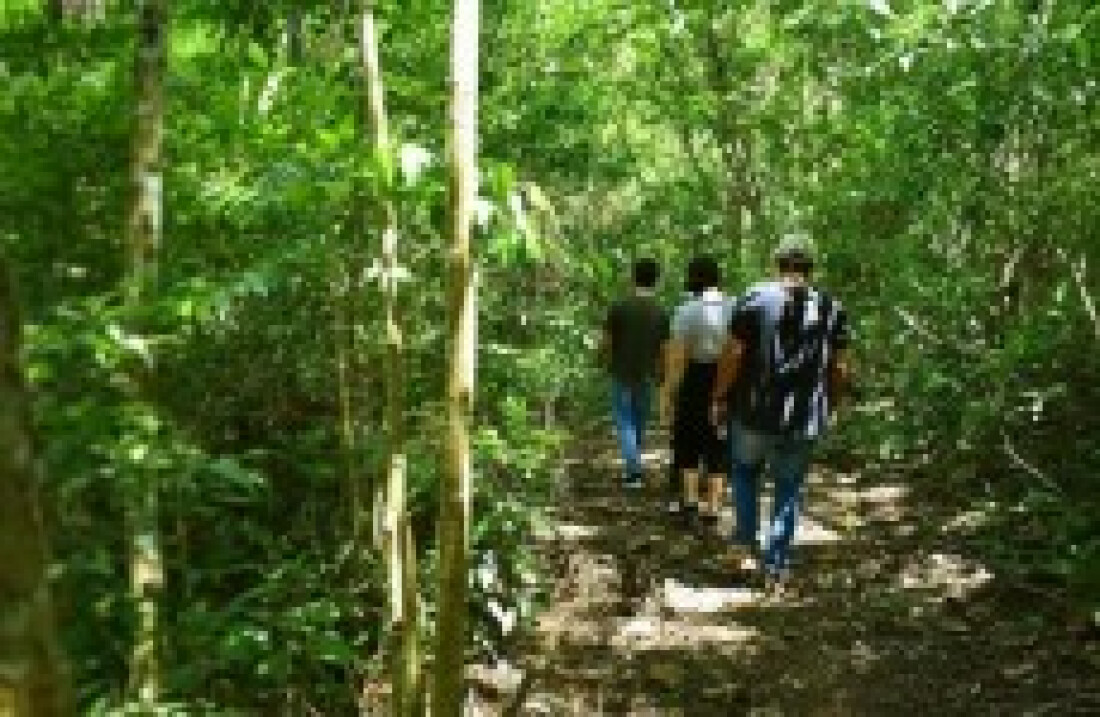 Museu da Energia oferece trilha sensorial no feriado