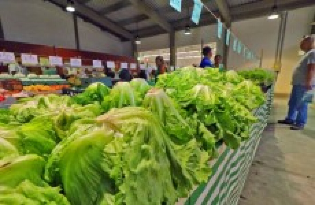 Feira noturna terá novidades hoje