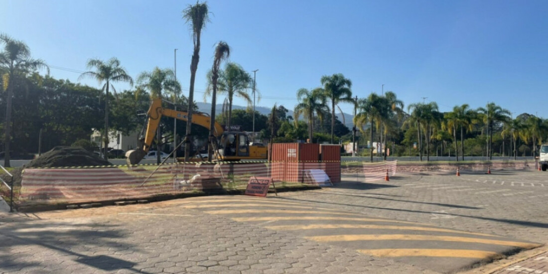 Árvores de Mogi serão transplantadas para obra