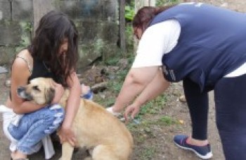 Vacinação antirrábica já imunizou 7 mil animais