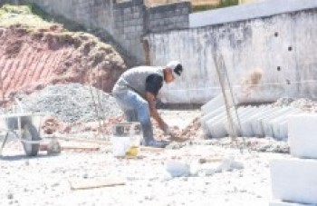 Projeto finaliza entrega dos primeiros campos