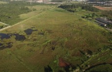 Brejinho enfrenta problemas de desmatamento e queimadas