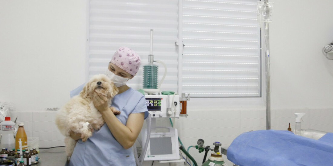 Secretaria de Meio Ambiente inicia atendimentos gratuitos