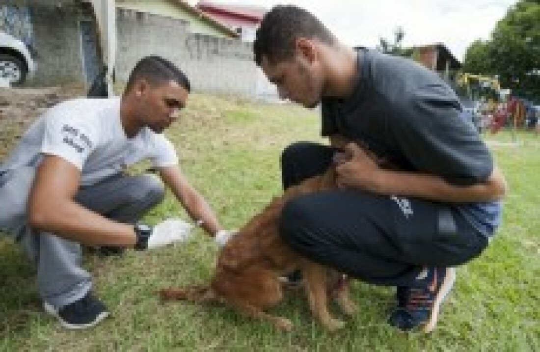 Chácara Guanabara e Vila Nova União terão eventos