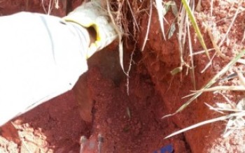 Policia e GCM registram sete casos de furtos de combustíveis