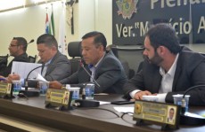 Câmara define integrantes de comissões permanentes