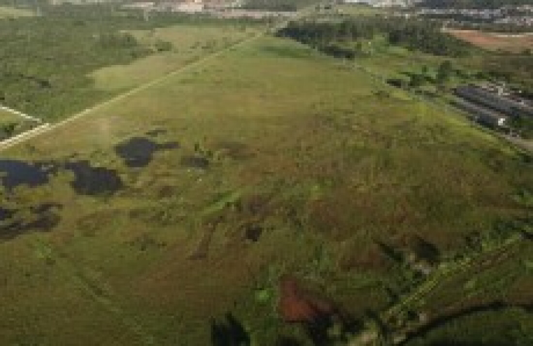 Área do Brejinho em Cezar de Souza está ameaçada, lamenta especialista