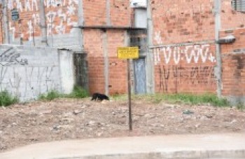 Prefeitura coloca placas para coibir descarte irregular