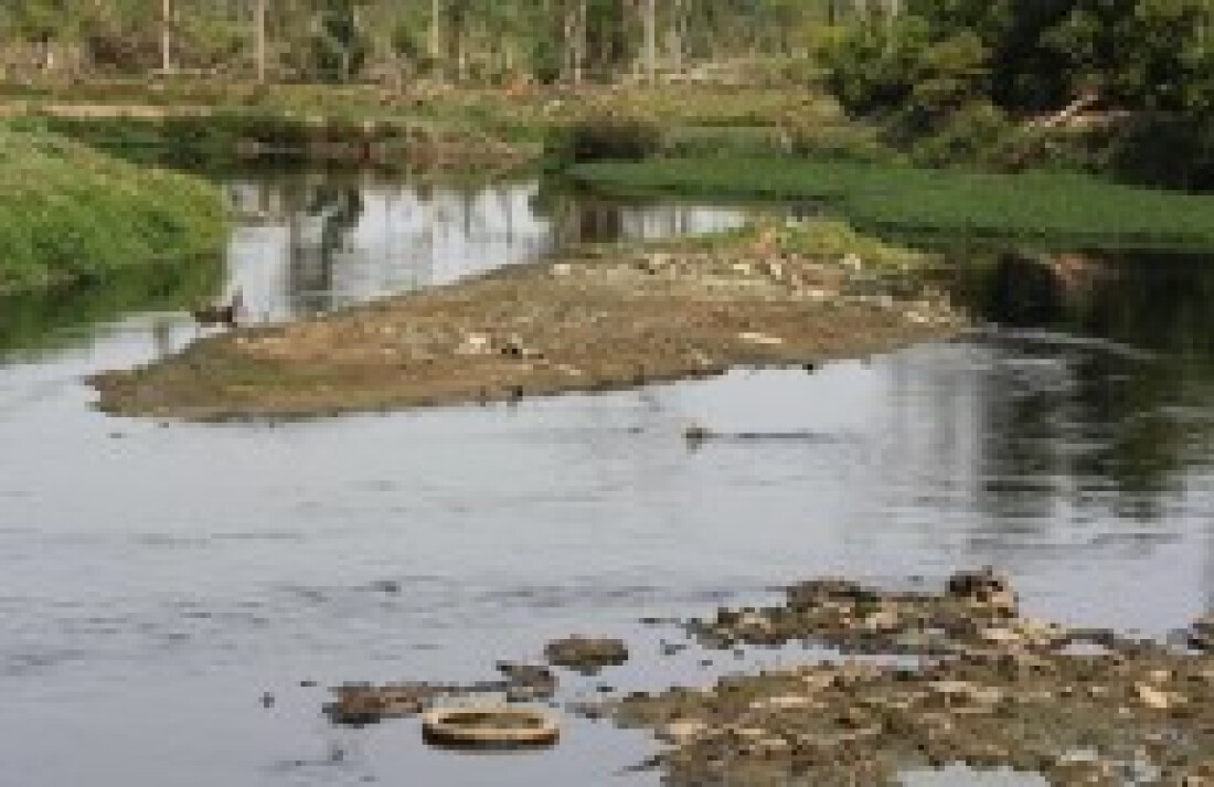 SOS Mata Atlântica analisará Tietê