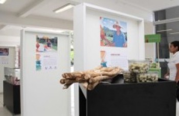 Mostra do Banco do Povo começa hoje