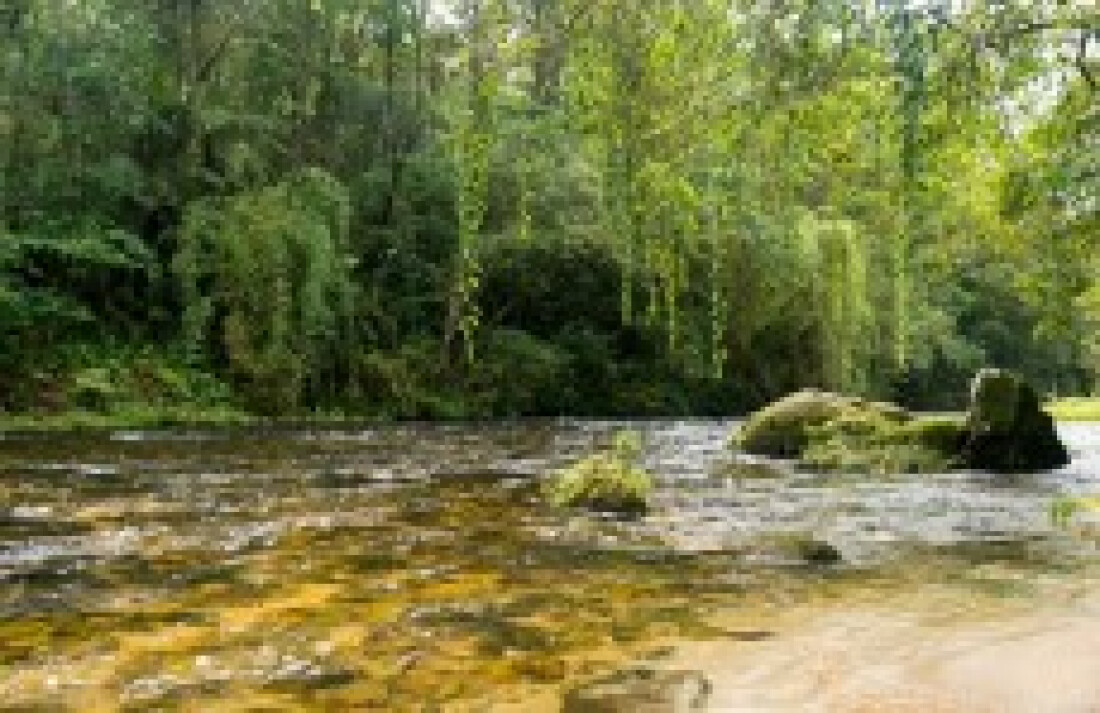Itatinga mostra relevância ambiental e econômica