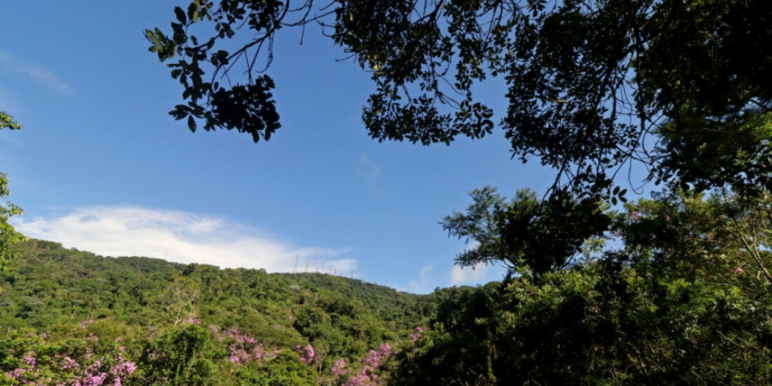 Programa Municipal recebe contribuições da população