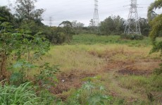 Prefeitura busca financiamento de R$ 50 milhões com BNDES