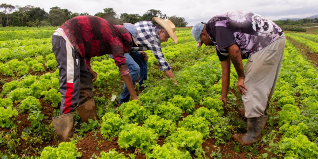 Banco de Alimentos realiza cadastro de entidades