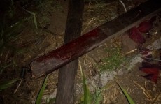 Homem é morto com golpe na cabeça