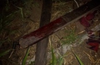 Homem é morto com golpe na cabeça