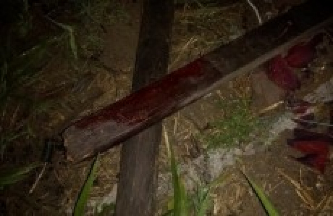 Homem é morto com golpe na cabeça