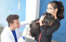 Cidades ainda não atingiram meta