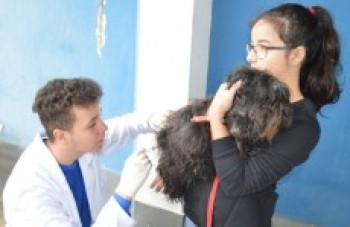 Cidades ainda não atingiram meta