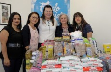 Fundo Social de Solidariedade recebe 154 quilos de alimentos
