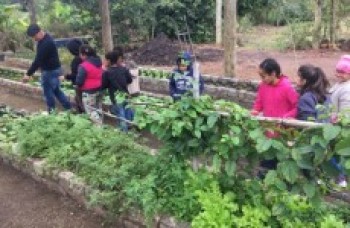 Viveiro produz composto orgânico com reciclados