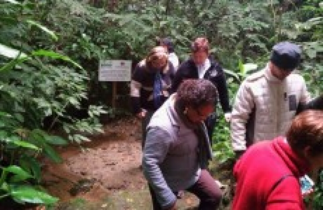 "Nascente Modelo" é um dos atrativos do Parque Natural