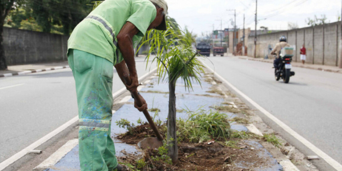 Viveiro Municipal promove revitalização de canteiro