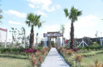 Viveiro do Max Feffer funciona todos os dias