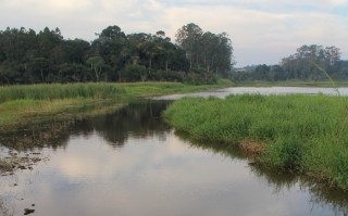 El Niño fará com que primavera tenha chuvas irregulares