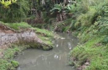 Dia do Rio Tietê é celebrado com sentimento de alerta