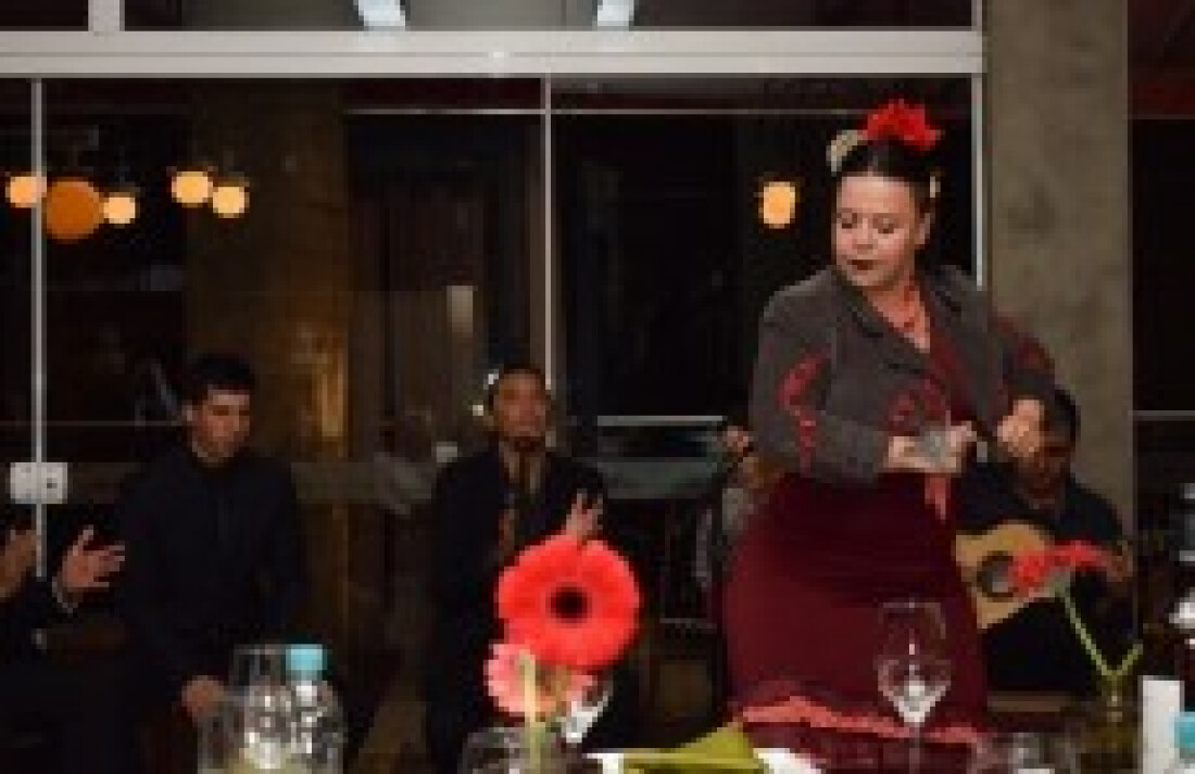 Espaço Cultural Opereta apresentará show de dança flamenca no dia 29
