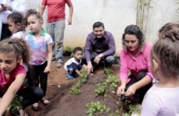 Três pontos têm plantio de árvores