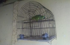 Sítio em Mogi era refinaria de drogas