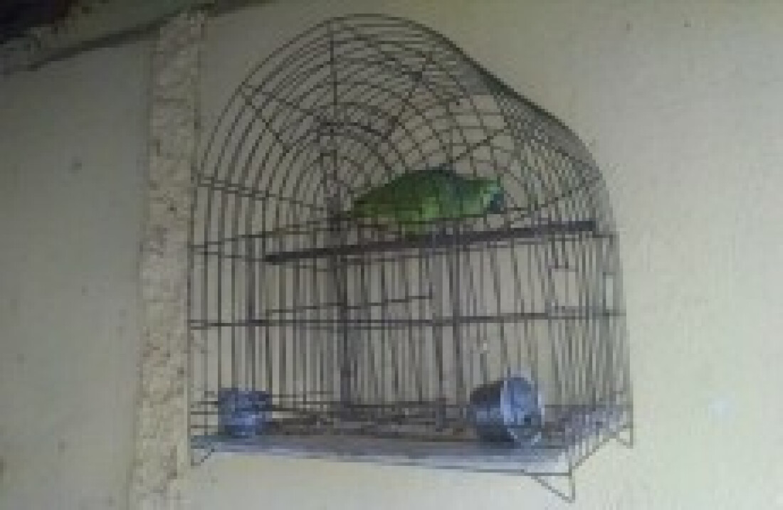 Sítio em Mogi era refinaria de drogas