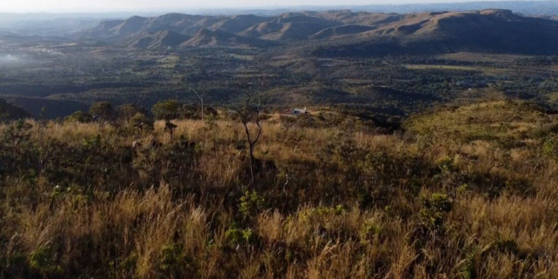 Preservação do Cerrado no DF é tema do Caminhos da Reportagem