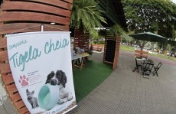 Praça Cidade das Flores recebe feira para adoção de animais