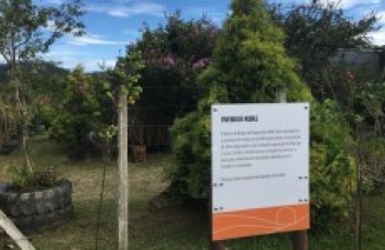 Viveiro de Mudas recebe visita de escolas e toda a população