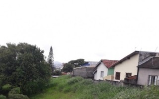 Terrenos abandonados são alvo de reclamação