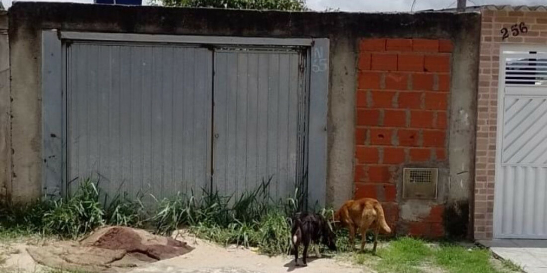 Moradoras reclamam da falta de manutenção na Vila Nova Aparecida