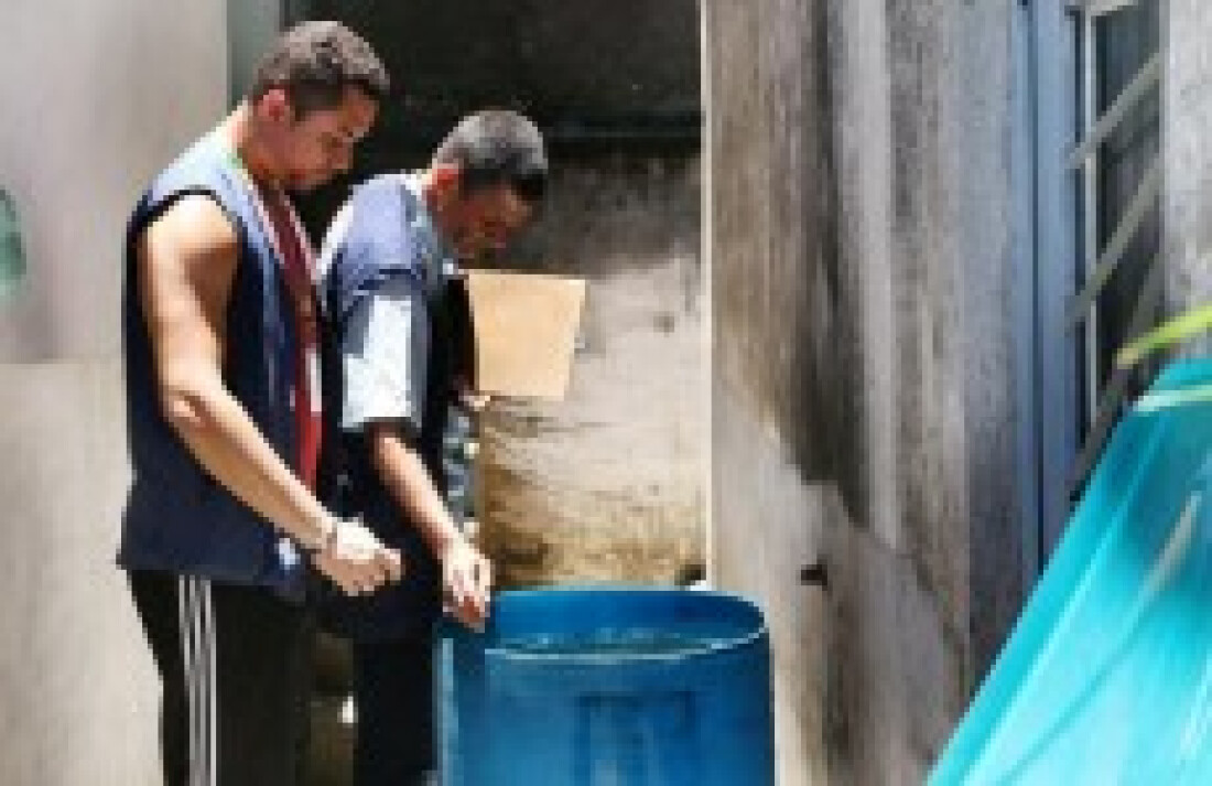 Agentes realizam coleta de amostras de larvas do Aedes